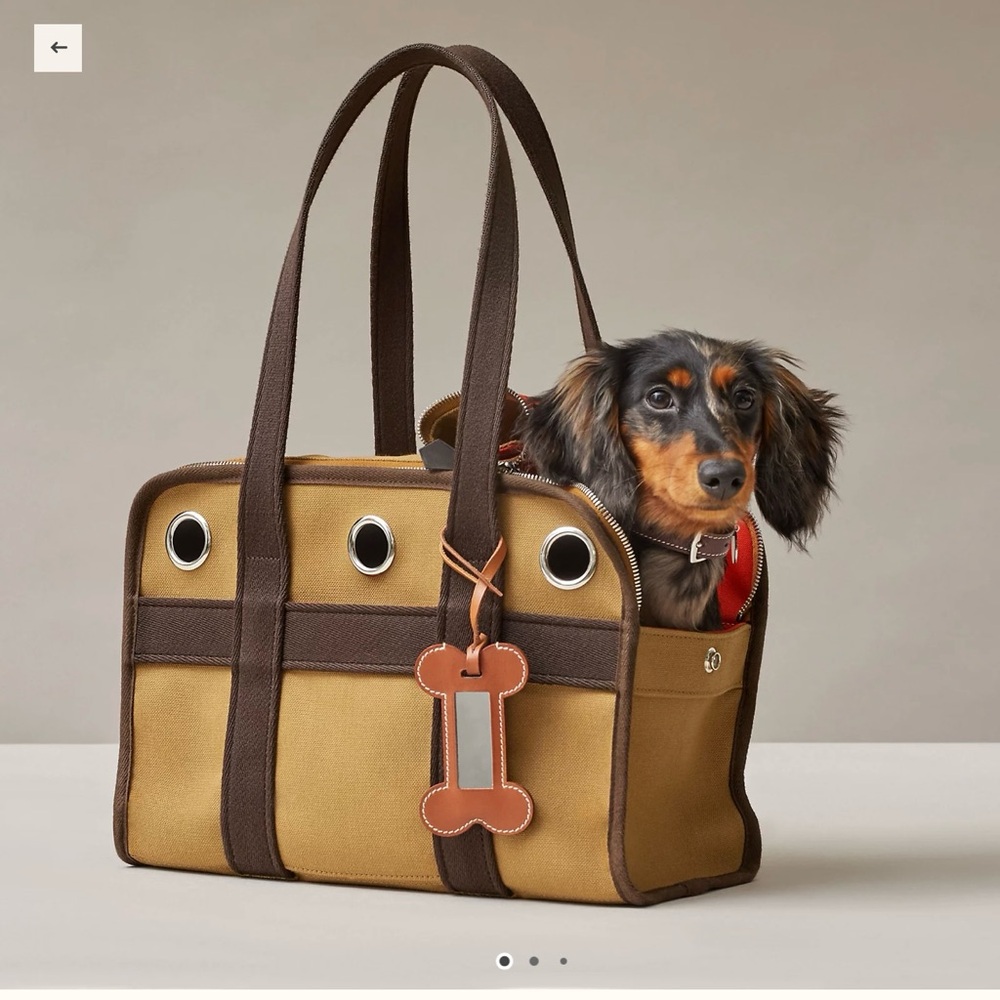 Hermes Dog Carrier